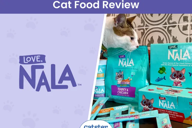 Love, Nala Cat Food Review 2026: A Detailed Look