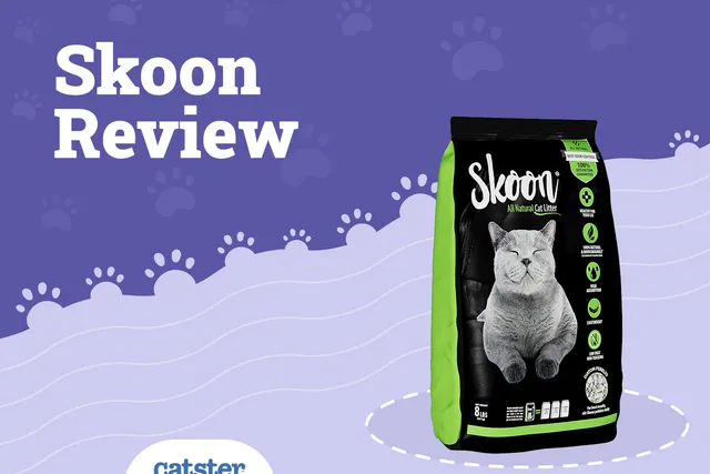 Skoon Cat Litter Review 2026: Recalls, Pros & Cons