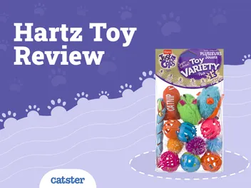 Hartz Cat Toys Review of 2026: Pros, Cons & Verdict