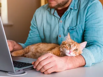 Why Do Cats Like to Sit on Keyboards? 5 Vet-Reviewed Reasons