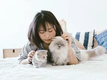 How to Get Cats to Get Along: 9 Tips & Tricks