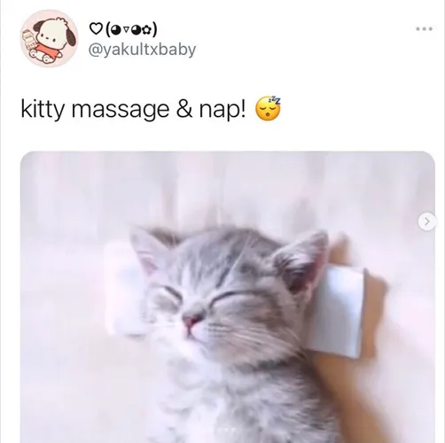 Rub and Snooze