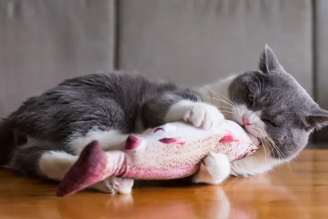 8 DIY Catnip Toys You Can Make Today (With Pictures)