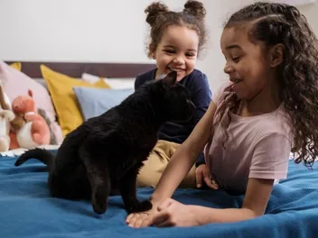 Why Does My Cat Hold My Hand? 4 Common Reasons (Vet-Verified)