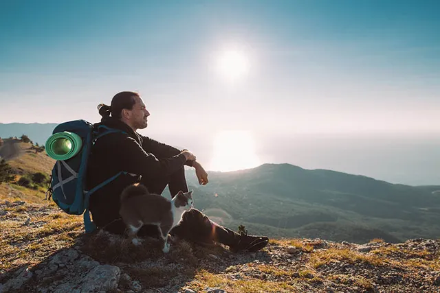 How to Hike With a Cat: 10 Vet Approved Tips