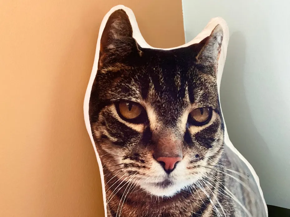 All About Vibe Custom Cat Pillow - close up of the product