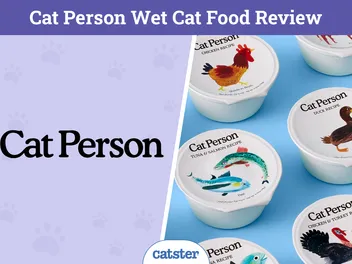 Cat Person Wet Cat Food Review 2026: Our Expert’s Opinion