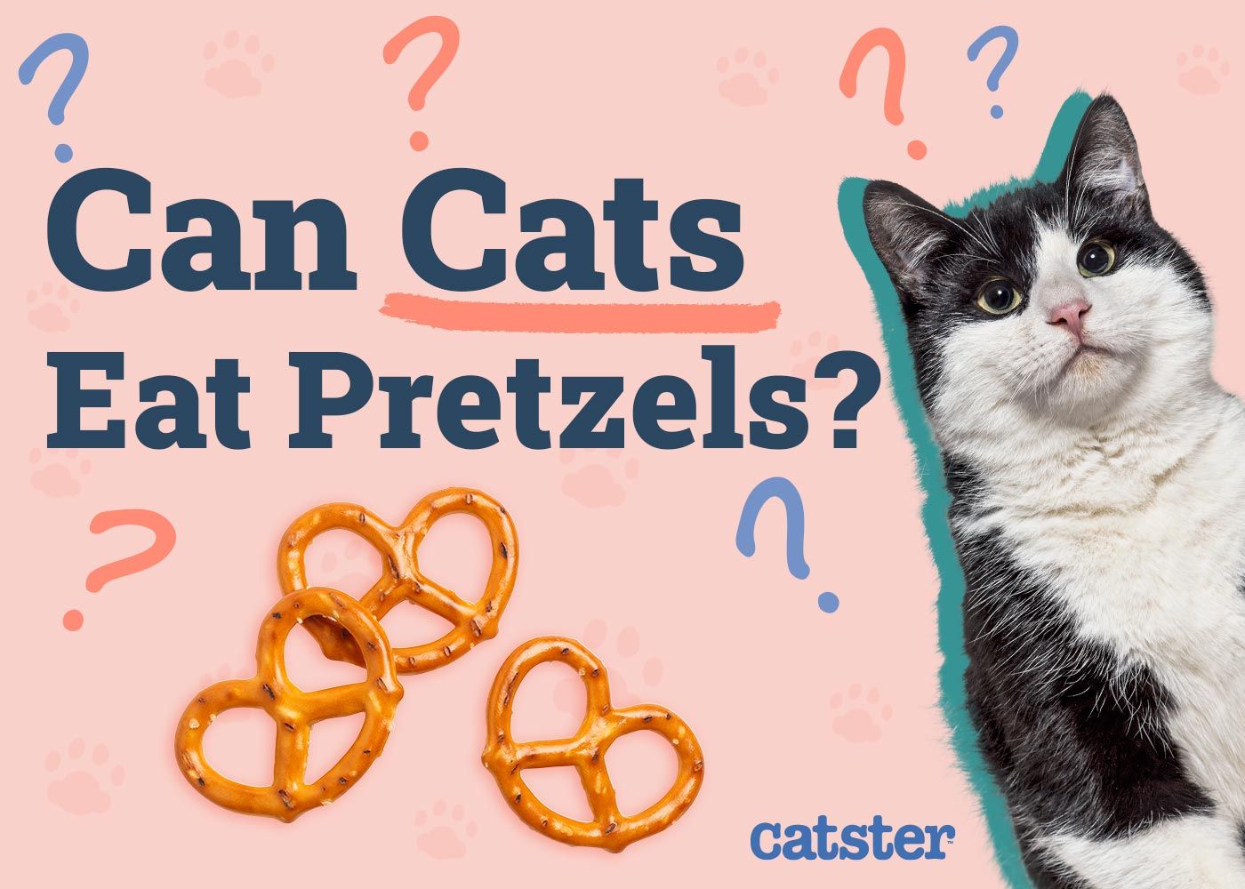 Can Cats Eat Pretzels