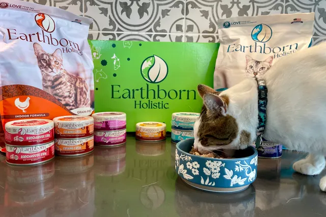 Earthborn Holistic Cat Food Review 2026: Our Expert’s Opinion