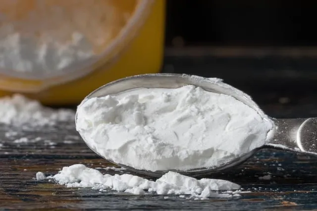 Does Cornstarch Kill Fleas on Cats? Vet Reviewed Effectiveness & Alternatives