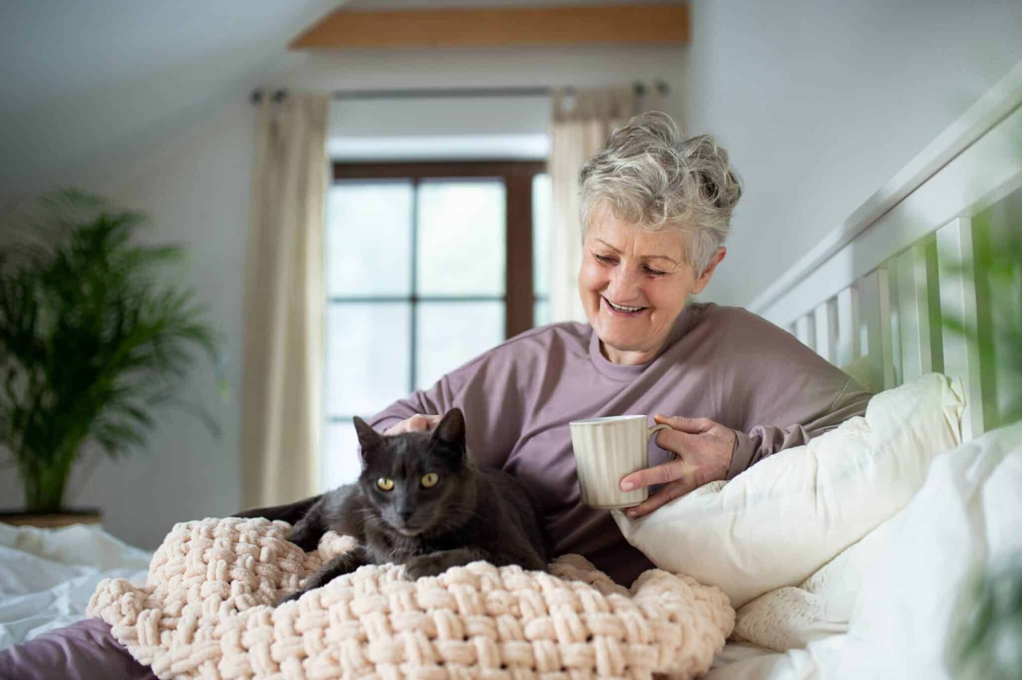 Why Does My Cat Sit On Me All The Time? 6 Vet-Verified Reasons