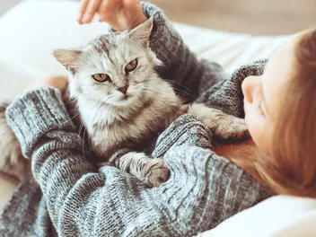 Why Does My Cat Lay on My Chest? 5 Vet-Reviewed Reasons for This Behavior