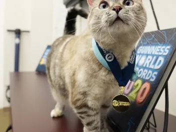 The Love Behind ‘Love, Nala’