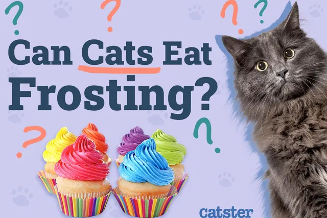 Can Cats Eat Frosting? Vet-Reviewed Facts & FAQ