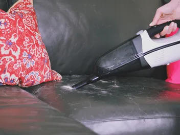 7 Best Handheld Vacuums for Cat Hair In 2026 – Reviews & Top Picks