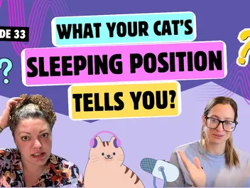 Chatting About Sleeping Positions, Loafing & Cats in Tubes | Chatty Cattys, Episode 33