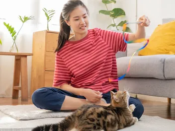 Do I Have To Play With My Cat? Vet-Reviewed Facts & Tips