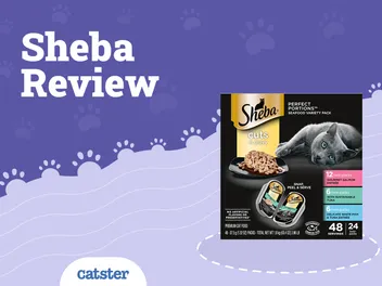 Sheba Cat Food Review of 2026: Recalls, Pros & Cons