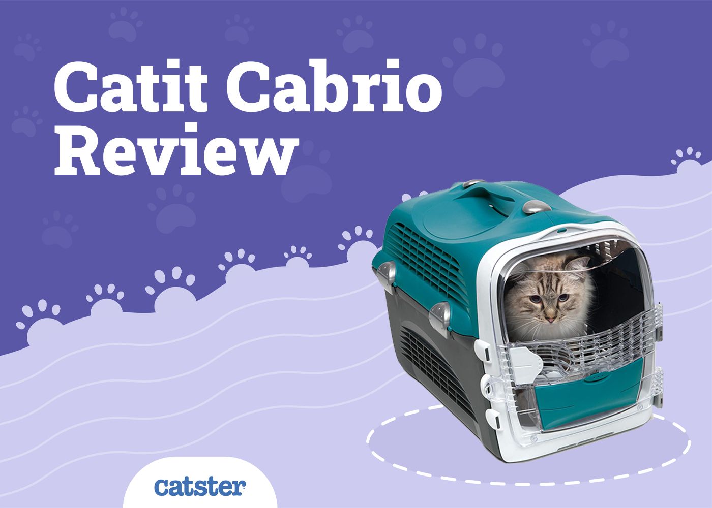 Catit Cabrio Carrier Review