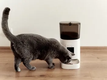 9 Best Outdoor Automatic Cat Feeders in 2026 - Reviews & Top Picks