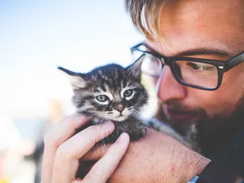 How to Find a Reputable Cat Breeder: 13 Vet-Reviewed Questions To Ask