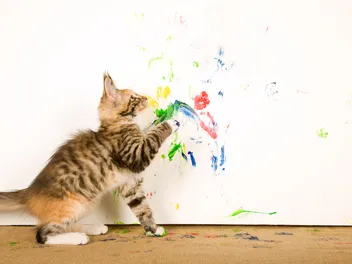 Olive & Rye Custom Cat Portraits and Art