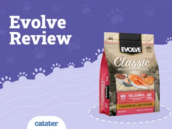 Evolve Cat Food Review of 2026 : Recalls, Pros & Cons