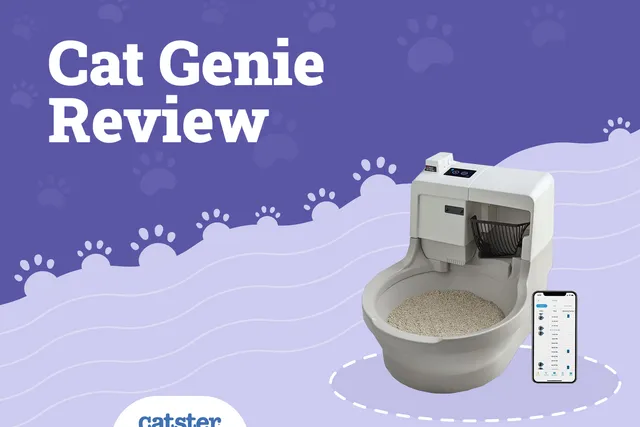 CatGenie Litter Box Review 2026: Our Expert’s Opinion