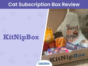 KitNipBox Cat Subscription Box Review 2026: Pros, Cons & Verdict