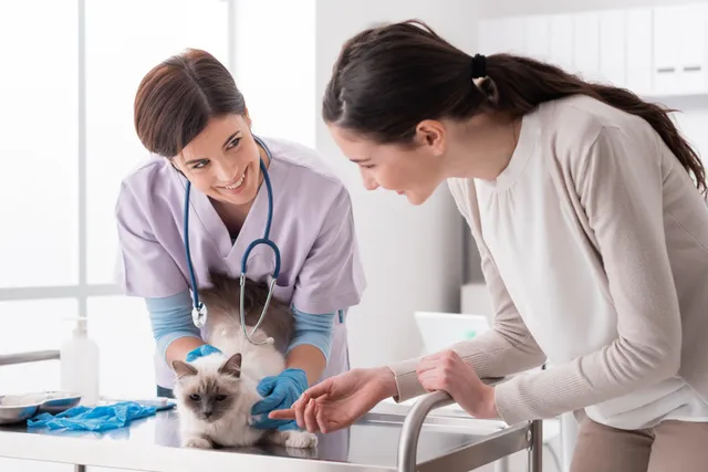 How to Find a New Vet: 9 Steps to Follow (Vet-Approved)