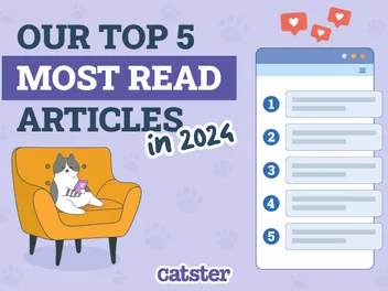 Most Read Articles on Catster in 2024