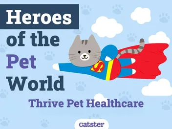 Thrive Pet Healthcare | Heroes of The Pet World
