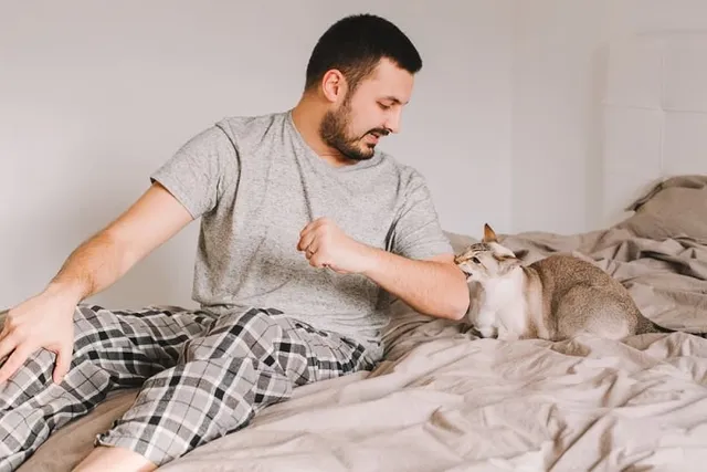 Why Does My Cat Grab & Bite My Arm? 6 Vet-Reviewed Reasons & What to Do