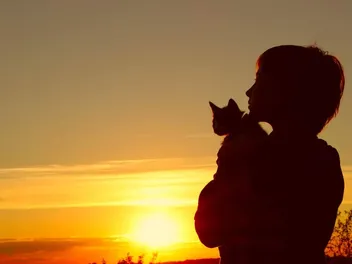 25+ Cat Loss Quotes: Grieving & Coping with Pet Loss
