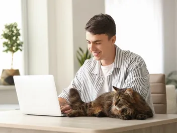 Pet Telehealth: How Does It Work for Your Cat? Vet Approved Facts & FAQ