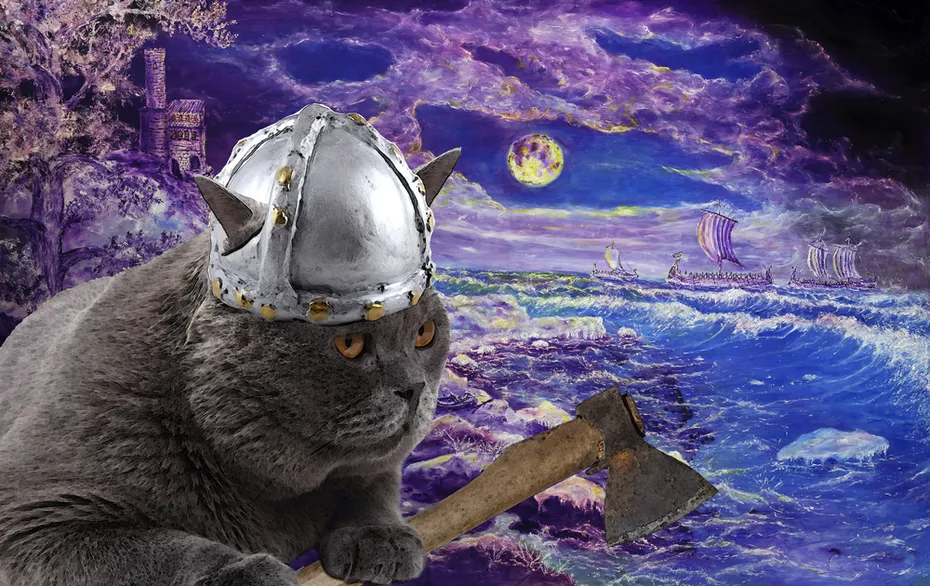 viking-cat