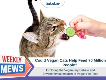 Could Vegan Cats Help Feed 70 Million People? Exploring the Veganuary Debate