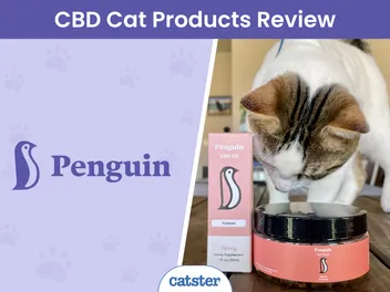 Penguin CBD Cat Supplement Review 2026: A Detailed Look