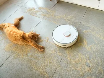 8 Best Robot Vacuums for Cat Litter in 2026 - Reviews & Top Picks