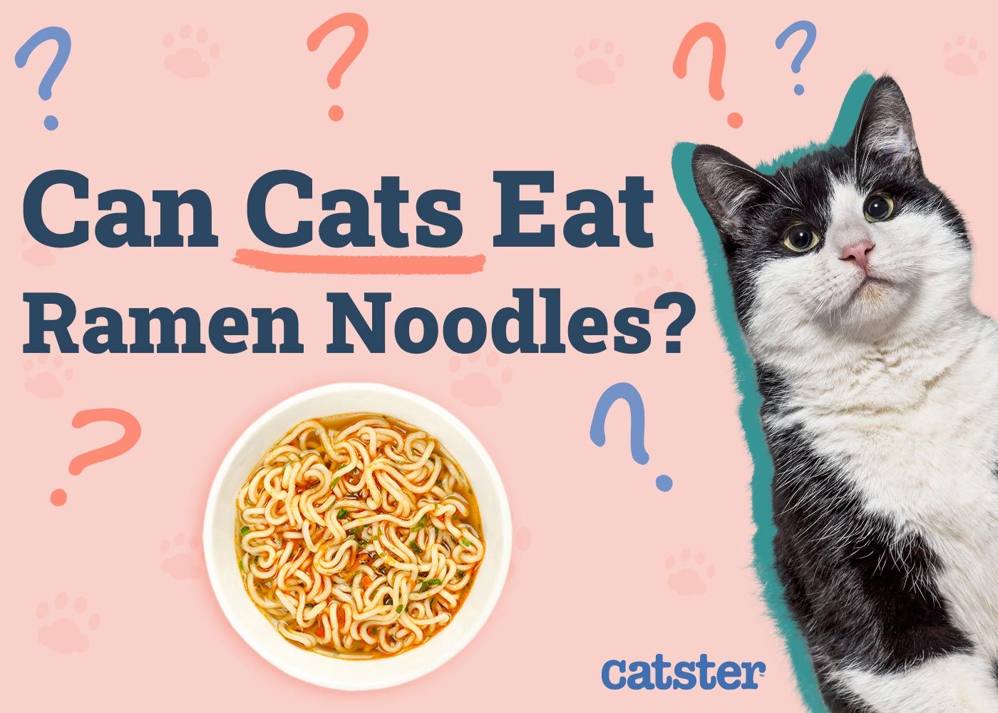 Can Cats Eat Ramen Noodles