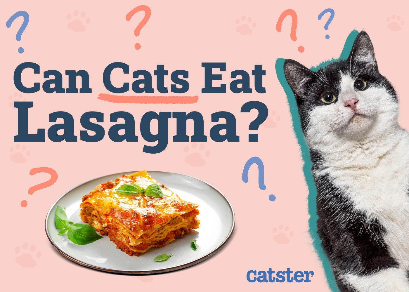 Can Cats Eat Lasagna