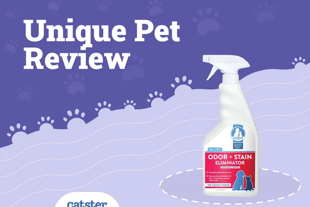 Unique Carpet Shampoo Review 2026 - Pros, Cons, & Verdict