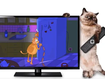 44 Famous Cartoon & Anime Cats (With Pictures & Videos)