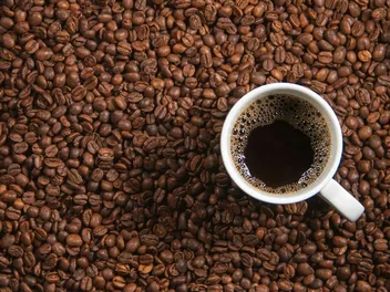 My Cat Drank Coffee! Here’s What to Do (Vet Answer)