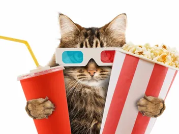 Feline Actors: Our 20 Favorite Movies Starring Cats