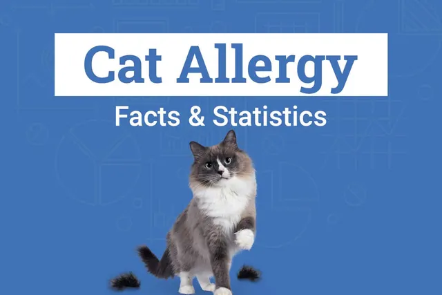 How Many People Are Allergic to Cats? 13 Interesting Statistics