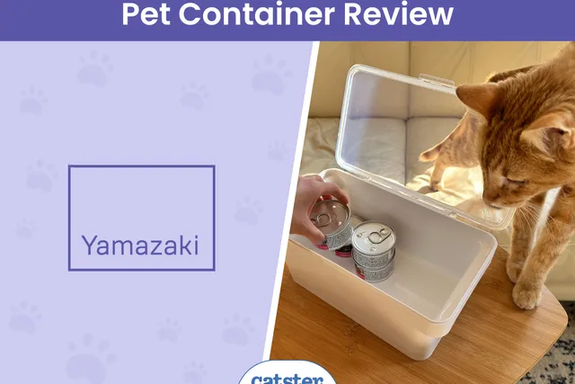 Yamazaki Airtight Pet Container Review 2026: Our Expert’s Opinion
