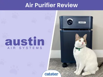 Austin Air HealthMate Review 2026: A Detailed Look