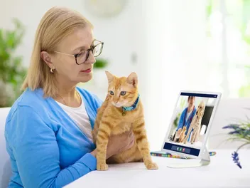 The 5 Best Online Vet Services for Canadians in 2026 - Reviews & Top Picks