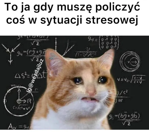 Math Cat